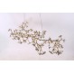 AM1220 BLOSSOM LINEAR